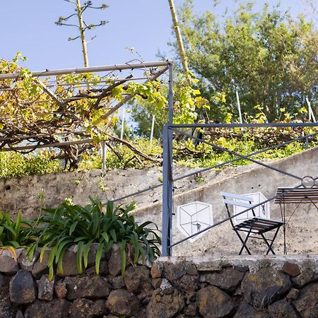 Ek Las Vistas Finca El Milagro La Orotava Exterior foto