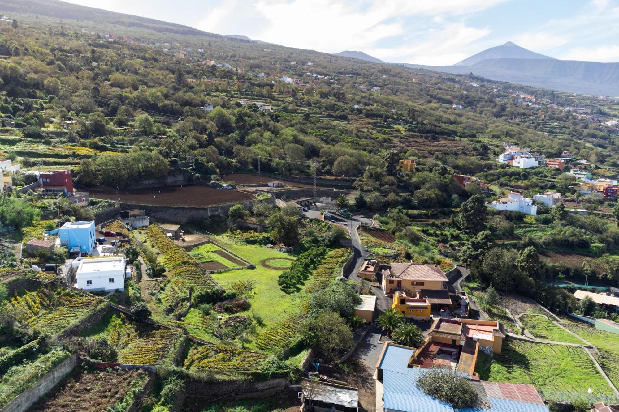 Ek Las Vistas Finca El Milagro La Orotava Exterior foto