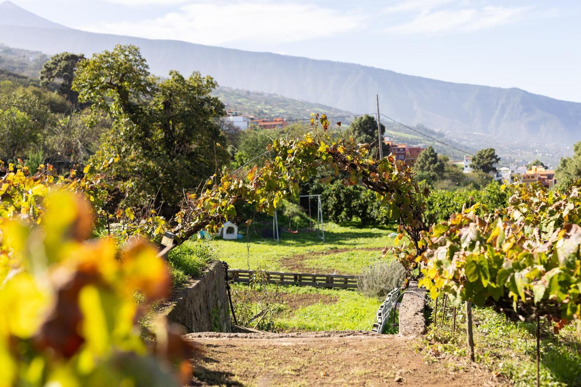 Ek Las Vistas Finca El Milagro La Orotava Exterior foto