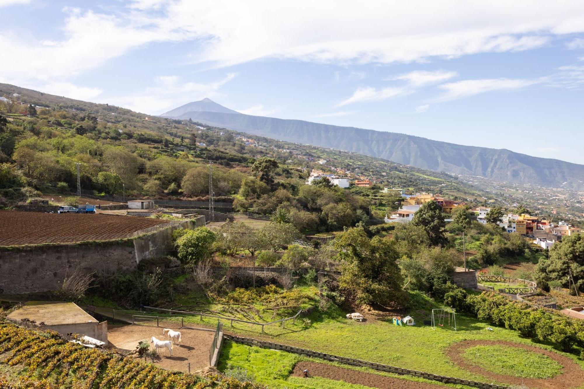 Ek Las Vistas Finca El Milagro La Orotava Exterior foto