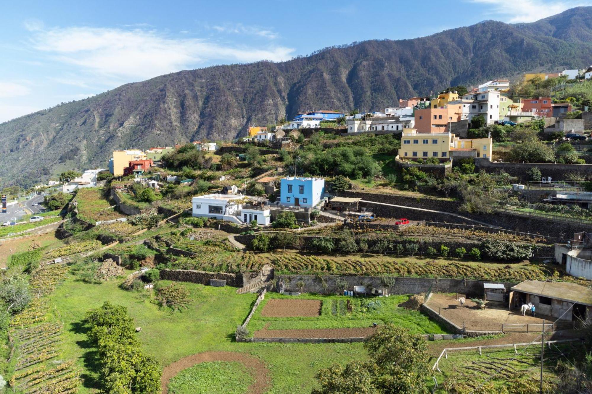 Ek Las Vistas Finca El Milagro La Orotava Exterior foto