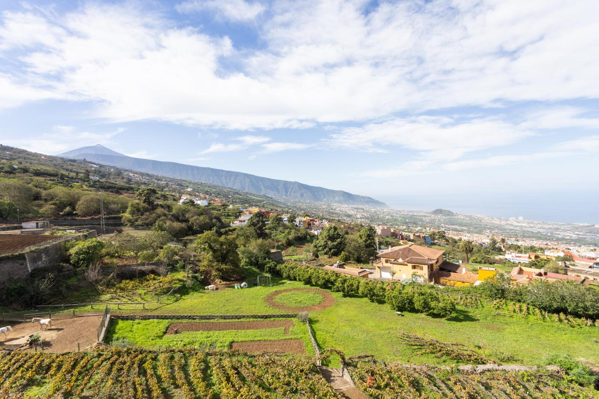 Ek Las Vistas Finca El Milagro La Orotava Exterior foto